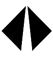 International Logo