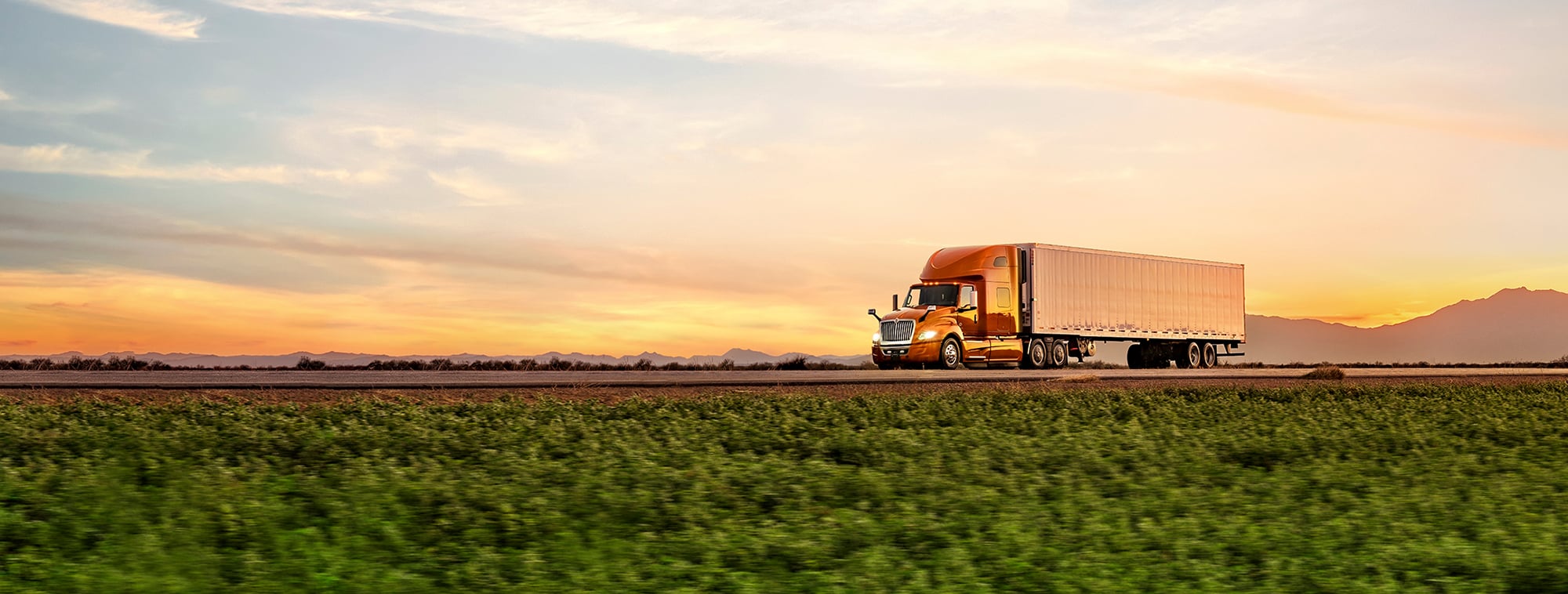 International Trucks For Sale